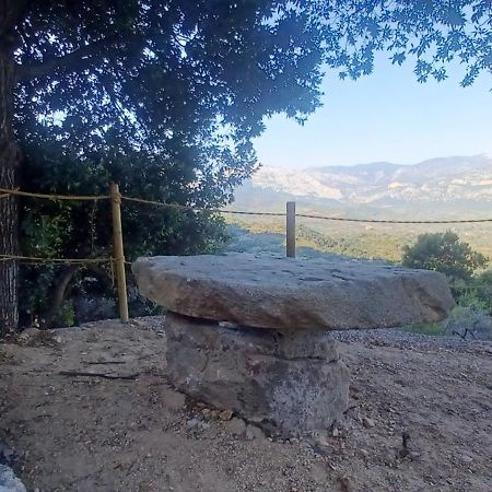 Casa Lucia Campagna Relax Guest House Dorgali Exterior photo