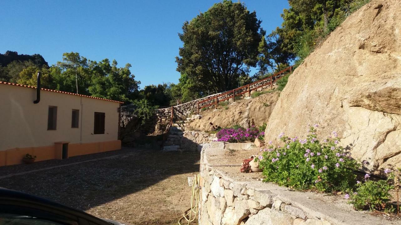 Casa Lucia Campagna Relax Guest House Dorgali Exterior photo
